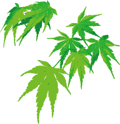 kaede-green